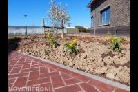 Prachtige eco tuin van ontwerp tot aanleg en onderhoud