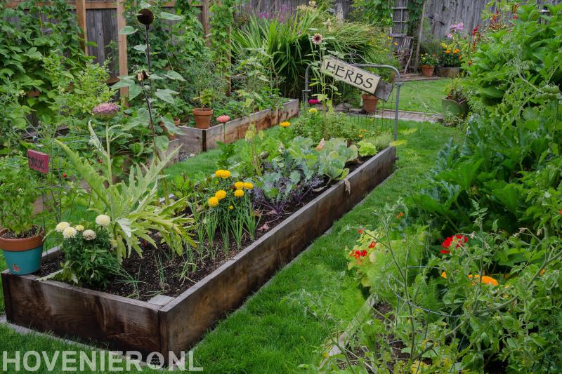 Hoveniersbedrijf Kooiker