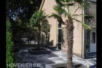 Palbomen in plantenbakken van stapelblokken