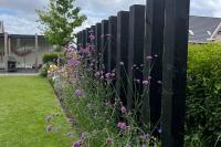 Tuinonderhoud met oog voor biodiversiteit