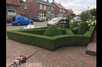 Strakke hagen en vormsnoei