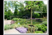 Ronde natuurlijke vijver