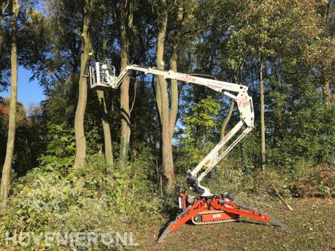 Bomen kappen met inzet van hoogwerker 1