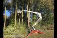 Bomen kappen met inzet van hoogwerker 1