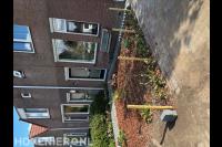 De Haan Boomzorg & Tuinen B.V.