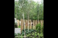 Hoveniersbedrijf Hans Verstraaten