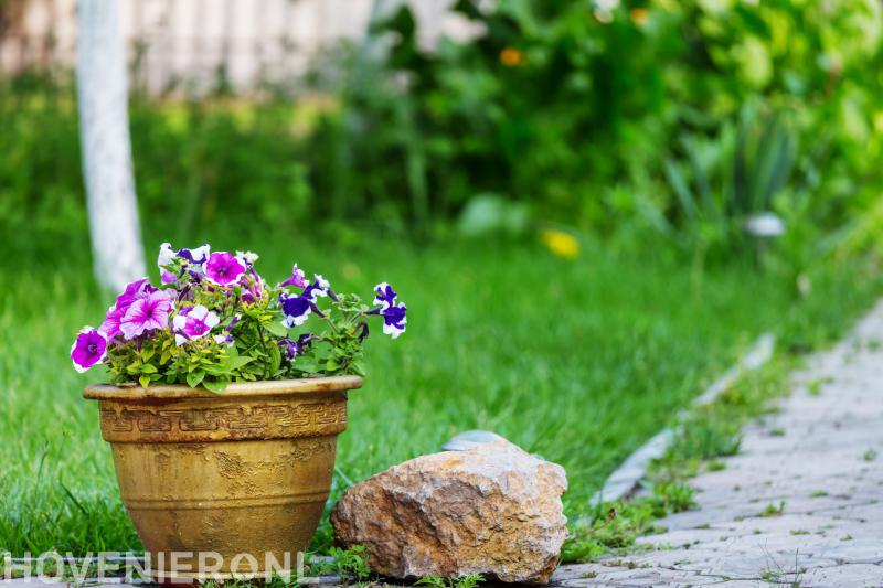 Martien van Brederode hovenier