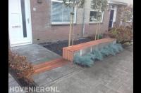 Kleine voortuin met leibomen en zitbank