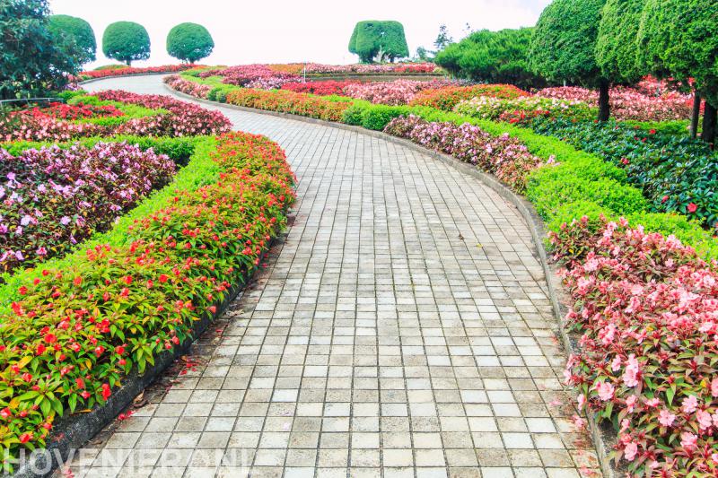 Hoveniersbedrijf van de Riet