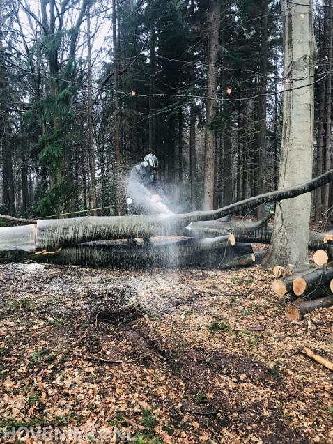 Gekapte boom in stukken zagen met kettingzaag