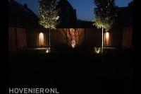 Buitenverlichting met spots onder bomen en op schutting 2