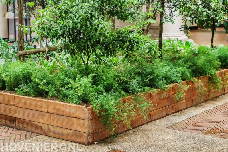 Lodewijks Hoveniersbedrijf