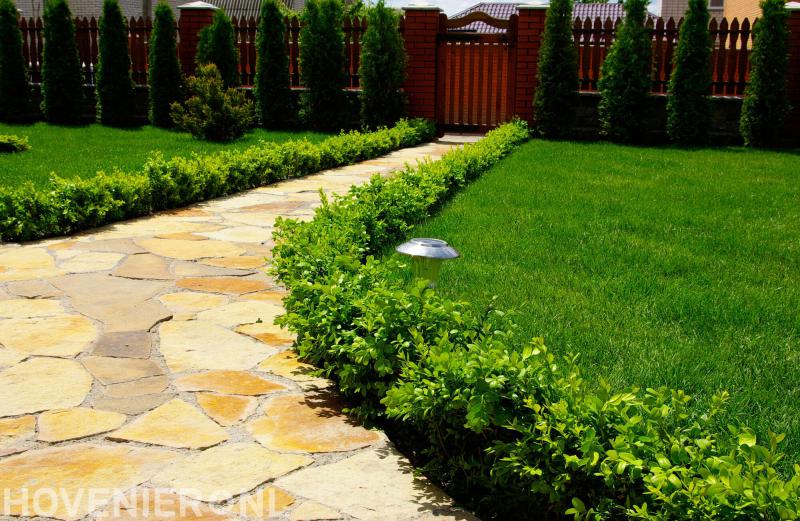 Hoveniersbedrijf H.G. Peters