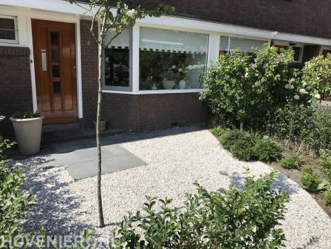 Voortuin met grind, ligusterhaag en nieuwe beplanting