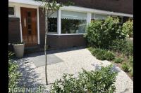 Voortuin met grind, ligusterhaag en nieuwe beplanting