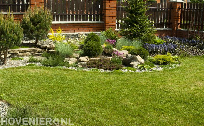 Steehouwer Hoveniers