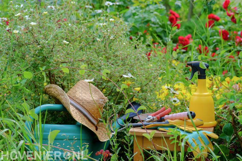 Wulffraat Hovenier B.V.