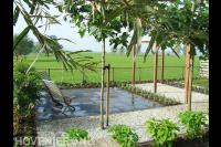 Terras omgeven door grind, pergola en leibomen 1