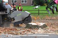 Boomstronk verwijderen met stobbenfrees