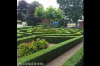 Strak geknipte haagjes