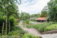 Landelijke tuin 2
