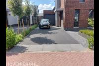 Moderne tuin met overkapping