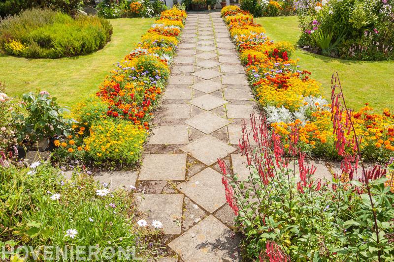 Van Herwijnen Hovenier