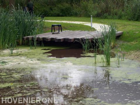 Natuurlijke vijver met houten vlonder