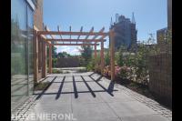 Tuin met grote siertegels en houten pergola
