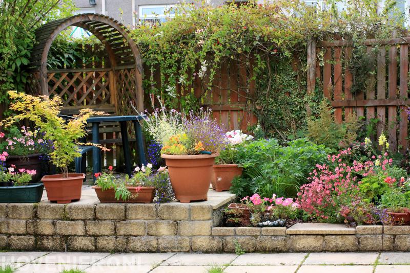 Van Schadewijk Hoveniers