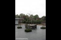 Strakke achtertuin met terras van grote tegels en leibomen 2