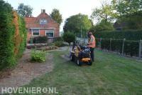 Boomstronk in gazon verwijderen