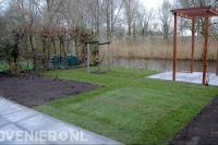 Achtertuin met grasmat en pergola