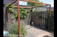 Houten pergola met druivenplant