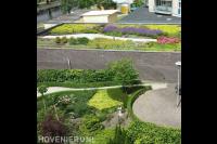 Aanleg weelderige bloementuin