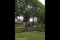 Maton Boomverzorging