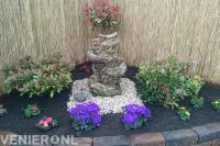 Border met ornament en kleurrijke planten