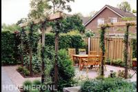 Houten pergola's met klimplanten bij terras