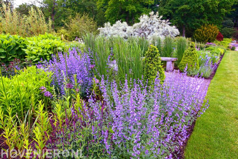 Gebr. Rebel Hoveniers