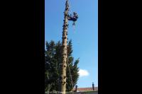 Boom kappen door gebruik te maken van klimtechnieken 1