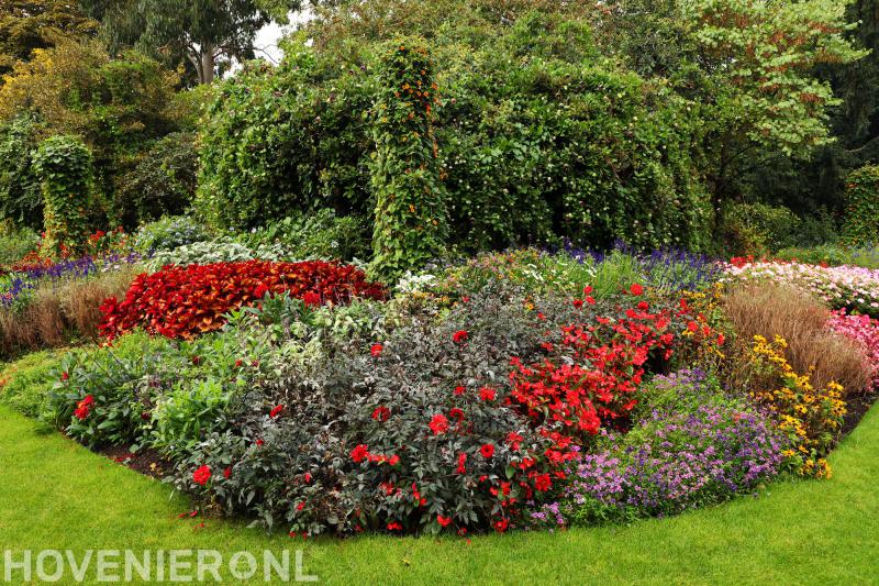 Edwin van der Linden - Hovenier