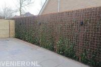 Achtertuin met groene schutting