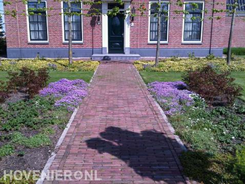 Voortuin met kleurrijke beplanting en leibomen