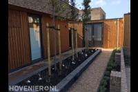 Grote plantenbak met kleine boompjes