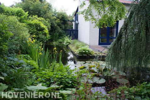 Groene tuin met natuurlijke vijver