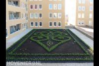 Daktuin met beplanting in een motief