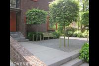 Voortuin met bestrating, split en leibomen