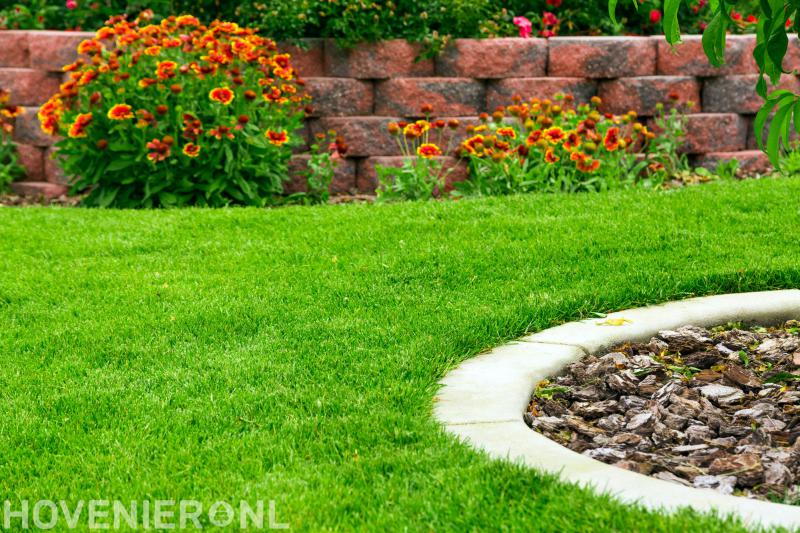 Martijn Rekkers Totale Groenzorg