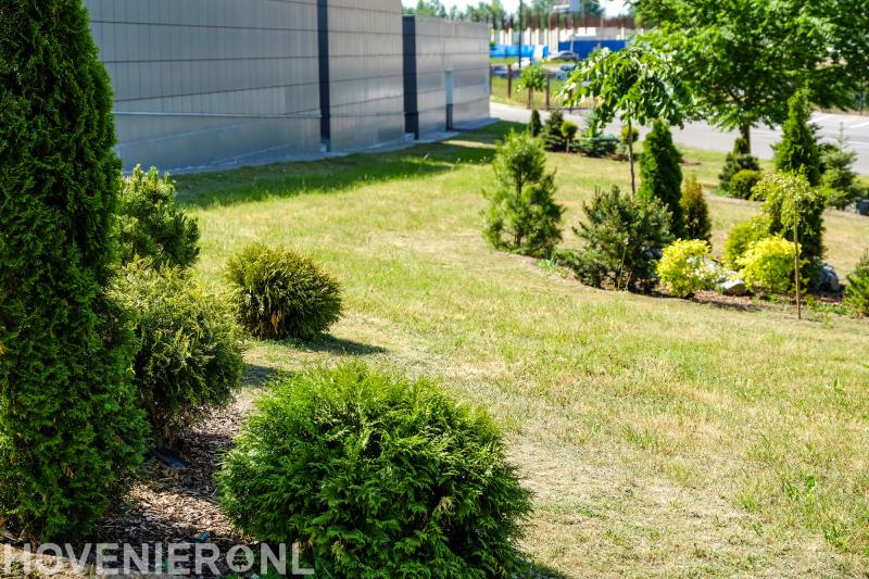 Dikkenberg hoveniers