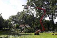 Wiegersma Boomverzorging